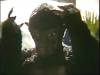 Alucinacoes.Sexuais.de.Um.Macaco.1986.VHSRip.XviD-iGORE